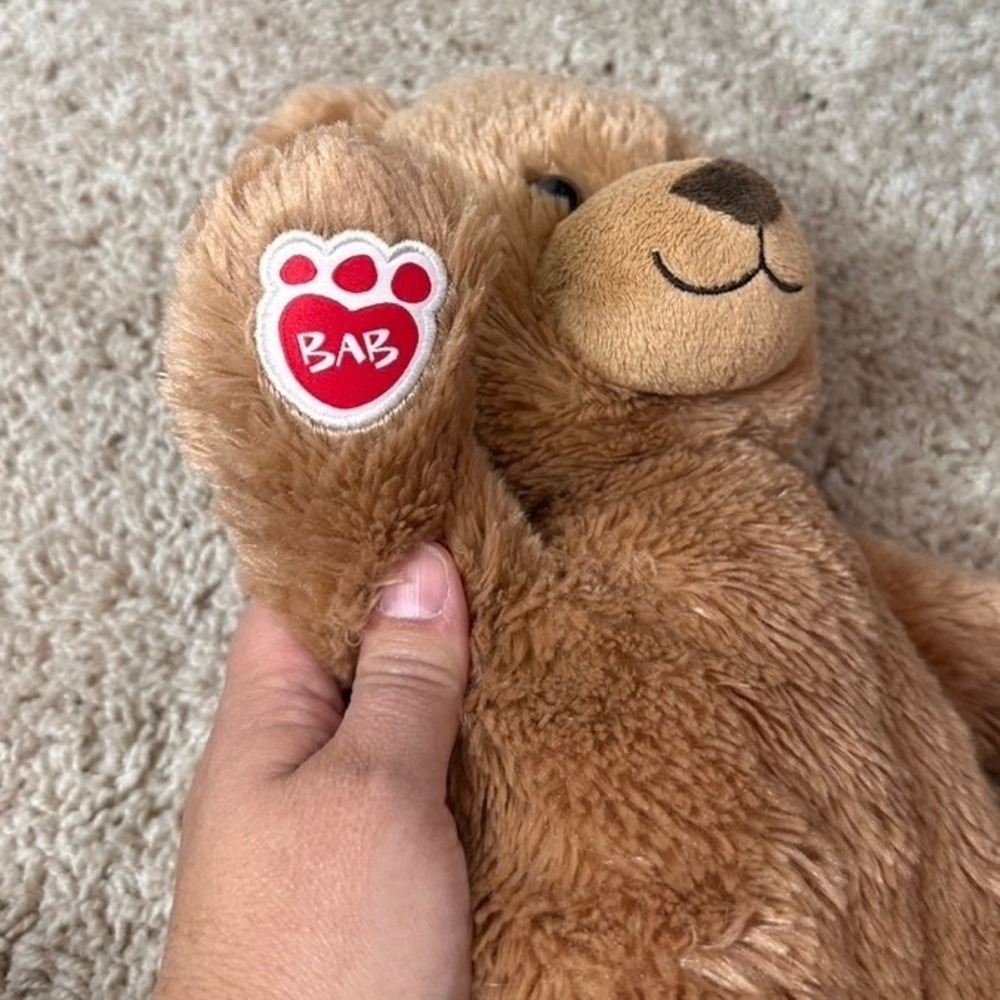 Build A Bear Workshop Brown Shaggy Plush Teddy Bear 2015 Signature Paw Patch - Picture 3 of 8